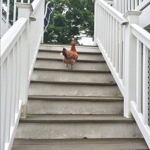 Meet your Posher, Carla